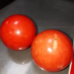 Item thumbnail for item 05d43ddd-4f08-4ce7-9c06-7554a0e4795a