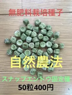 なべはら様 リクエスト 2点 まとめ商品