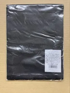 Item thumbnail for item 17b7dc1d-f776-42b1-91a1-e3536064c9ea