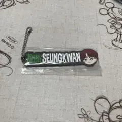 SEVENTEEN PetiTEEN 一番くじ スングァン