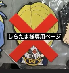 しらたま様専用ページ