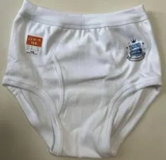 Item thumbnail for item df6963d3-86ef-48fd-8f06-3594a51e53c3