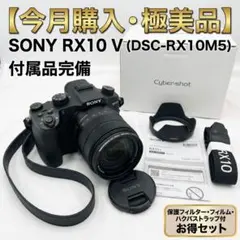 サイバーショット DSC-RX10M4 箱・電池3個付 - メルカリ