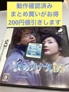 冬のソナタ　DS ペ・ヨンジュン
