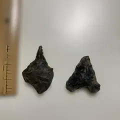 Item thumbnail for item 60c71f0f-a921-443c-9726-424e554f2829