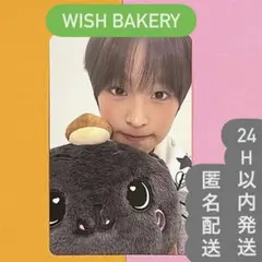 nctwish ぬいぐるみ リク 2026年最新】nctwish リク ぬいぐるみの人気アイテム - メルカリ