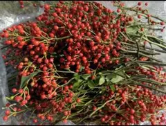 野ばらの実 インテリア