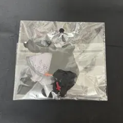 Item thumbnail for item aaf81aee-f447-4805-bfad-35fbbbf4531d