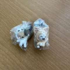 skzooガチャ つまつな ジニレット フォクシニー ソコンイェズ ※初期キズ有