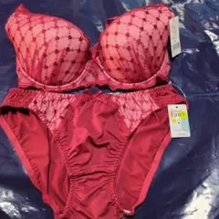 3点でお得あり！フェアリー　赤いブラジャーショーツセット　E80