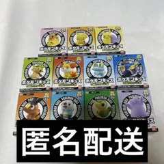 ポケモンキッズ 30周年スペシャル vol.2編
