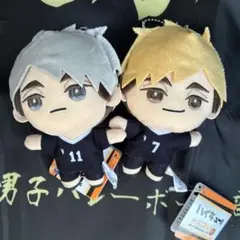 ハイキュー みにコレ ぬいぐるみマスコット ２種セット