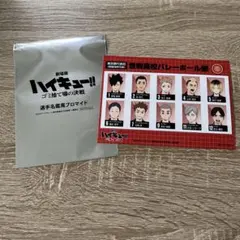 ハイキュー映画特典第6弾