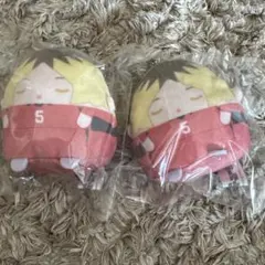 狐爪研磨　くじメイト　E賞