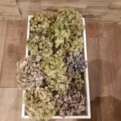 秋色紫陽花　アンティーク仕上げ向きドライフラワー