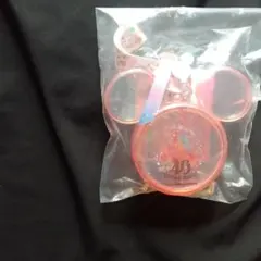 ディズニーランド 40周年 スーベニア グミケース スナックケース TDR