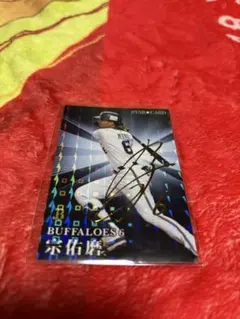 ＡＳＭＲ様 リクエスト 2点 まとめ商品