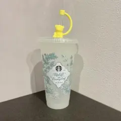 2026ミステリーカラーチェンジングリユーザブルコールドカップ710ml