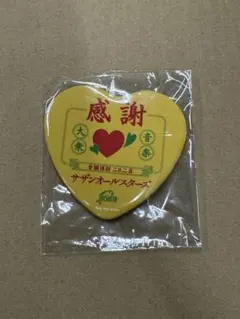 2025年最新】サザン 缶バッジの人気アイテム - メルカリ