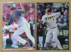 大山 悠輔 3 阪神タイガース プロ野球チップスカード