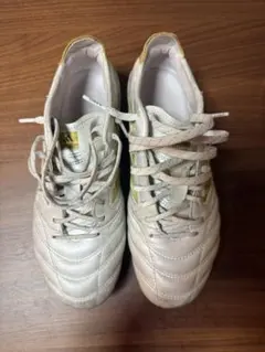 Item thumbnail for item 4e8e3627-10cd-488b-b76b-5fa76046b010