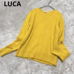 ラクーン ニット