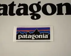patagonia ワッペン カラフルデザイン　アウター　リュック
