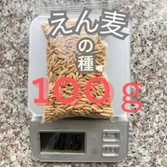 miya様 リクエスト 3点 まとめ商品