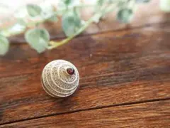 Item thumbnail for item dfcdc08f-7218-4adb-b015-410277de16c4