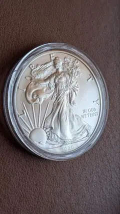 純銀1oz】1995年 シルバーイーグル銀貨 1ドル アメリカ ケース付