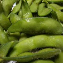 新鮮 朝採り 枝豆 おつな姫 800gのサムネイル