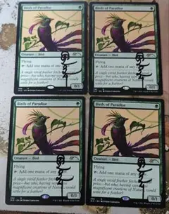 2026年最新】極楽鳥 foilの人気アイテム - メルカリ