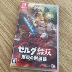 Nintendo Switch ソフト ゼルダ無双 厄災の黙示録