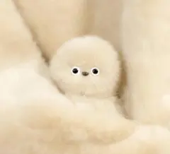 チャームロボット　mirumi アイボリーのサムネイル