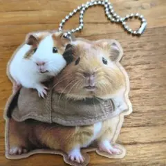 Item thumbnail for item 4c7a1e67-fdf5-4cca-91ce-3c12a225dcdb