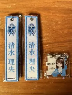 Item thumbnail for item 3e8534b5-741c-4277-add5-960081d7f42c