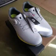 Item thumbnail for item 4c7eb6ff-e2b7-4705-90b8-a62800c59895