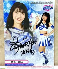 Item thumbnail for item ac42175e-9b3c-46e7-ab11-eea2b46cd77d