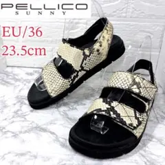 2026年最新】PELLICO SUNNY レディース スポーツサンダルの人気
