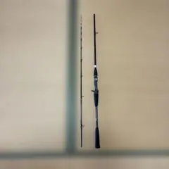 2025年最新】メタリア タチウオの人気アイテム - メルカリ