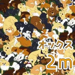 【SALE】オックス2ｍ 　わんこぎっしり　グリーン　犬　ドッグ