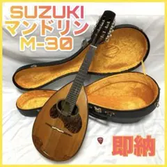 2025年最新】マンドリンケースの人気アイテム - メルカリ