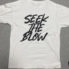 希少レア品☆レイドジャパン ドライロングTパーカー　Lサイズ☆最終値下げ‼️ 希少レア品☆レイドジャパン ドライロングTパーカー Lサイズ