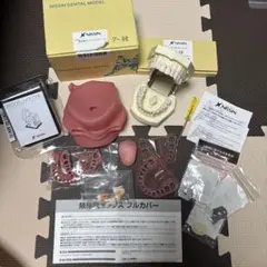 2025年最新】顎模型ホルダーの人気アイテム - メルカリ