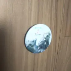 鳥羽水族館 メイ キラ缶バッジ ナイト・ツアー限定非売品