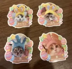 猫カフェMOCHA 天神大名店ステッカーまとめ売り