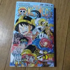 one piece 113