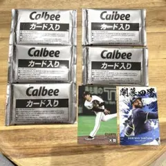 プロ野球チップス 2025