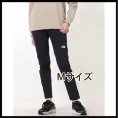 ノースフェイス アルパインライトパンツ レディース L NBW32402