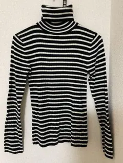 タートルネック ボーダー ニット